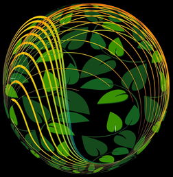 开云集团中国官网-未来青训：生态系统构建助推足球强国梦，足球生态系统建设