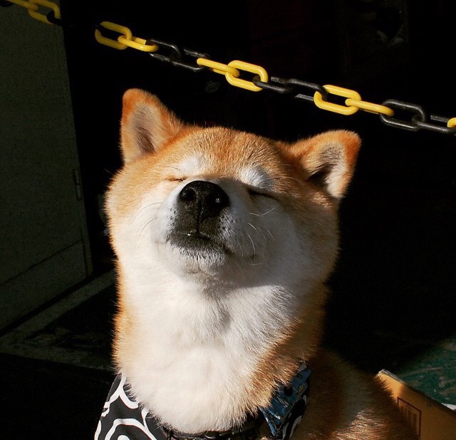 开云中国大陆-赛季终极对决：冠军悬念拉满的关键比赛，21赛季最佳终极对决