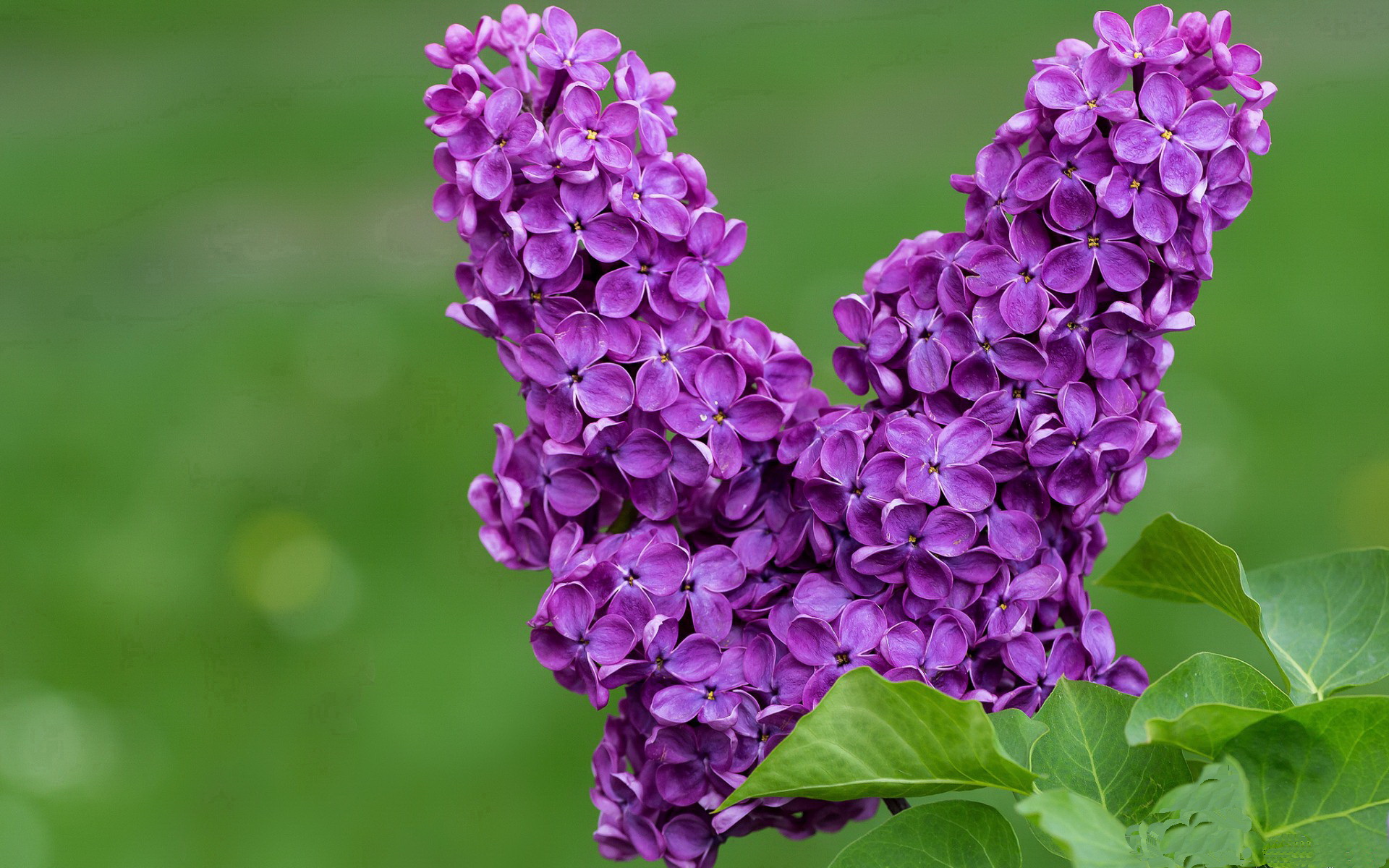 开云·体育官方网站入口-“武术对决：2025世界运动会高新体育中心武者斗志昂扬”