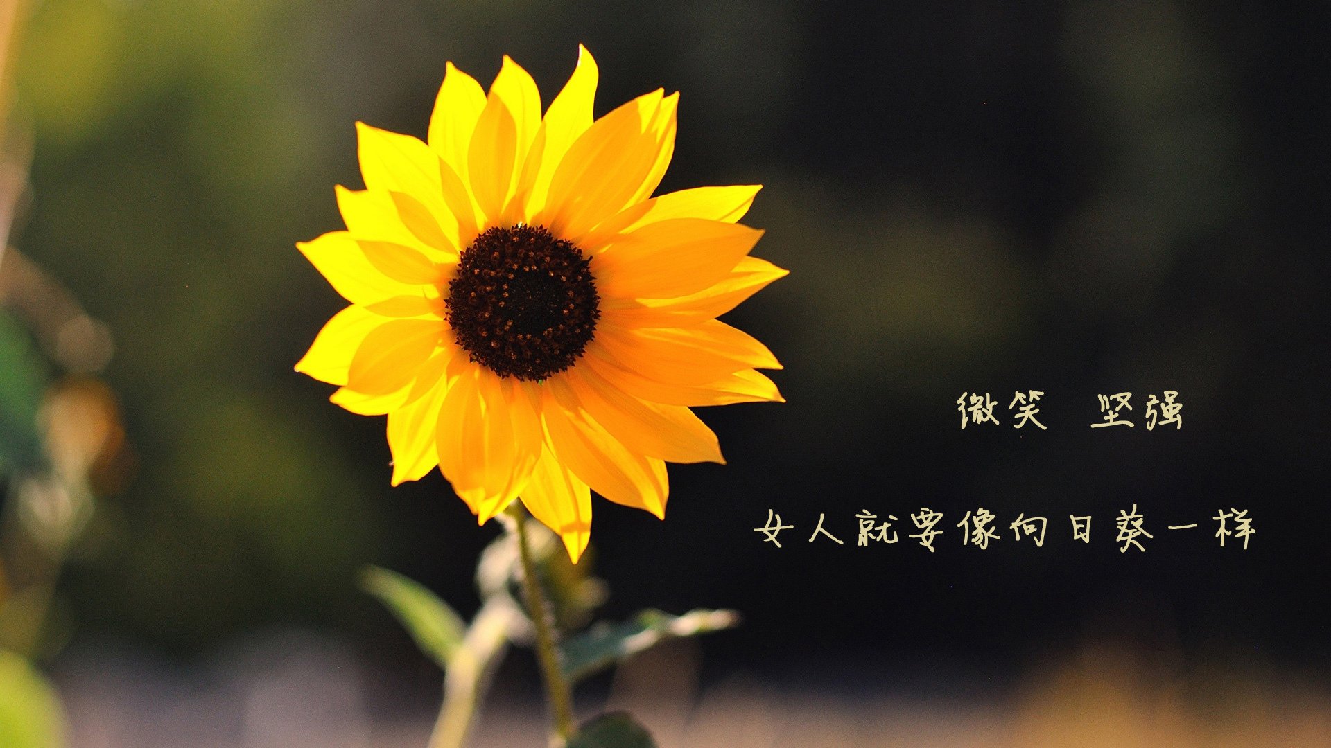 开云APP-德国女将仰泳再进决赛圈，德国女将仰泳再进决赛圈的是谁