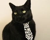 拜仁慕尼黑年轻球员崭露头角,拜仁慕尼黑最帅球员